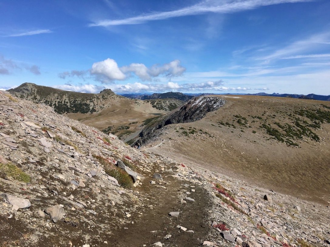 Looking back at the Ridgeline trail we've been hiking - Second Burroughs trail Mount Rainier National Park