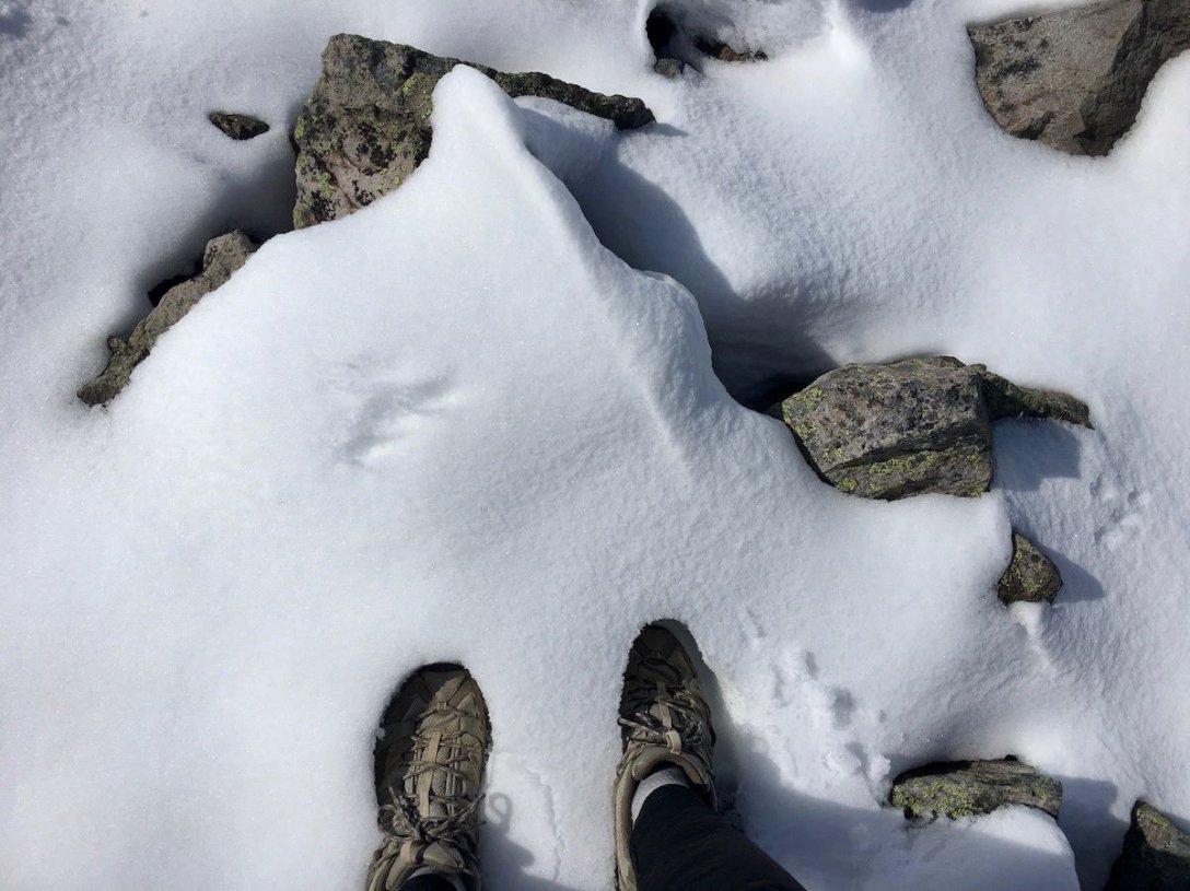 Snow on Third Burroughs in Mount Rainier National Park