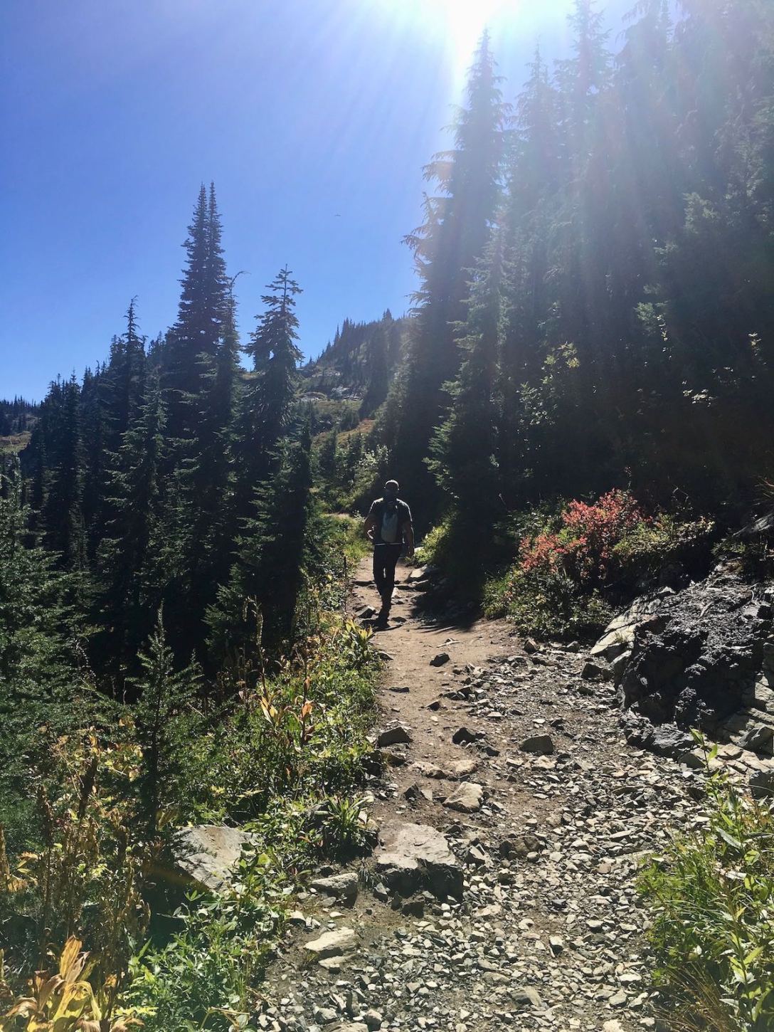 hiking through subalpine forest via the Naches Peak loop trail in Okanogan-Wenatchee National Forest