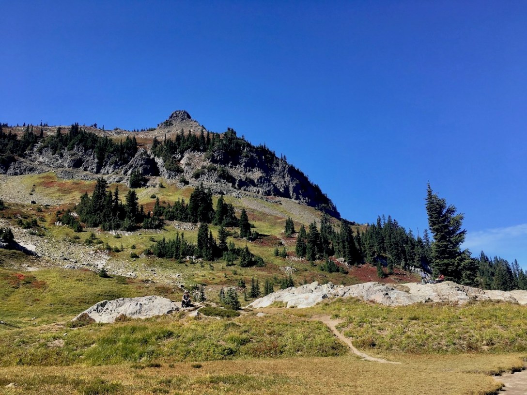 looking up toward the Naches Peak loop trail from the glacial pond