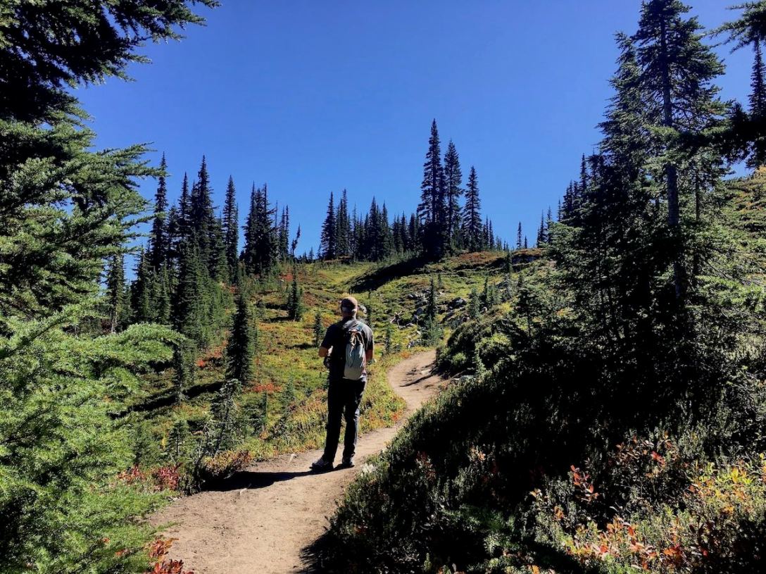 Continuing to climb as we hike through subalpine meadows on the northeastern side of Naches Peak loop