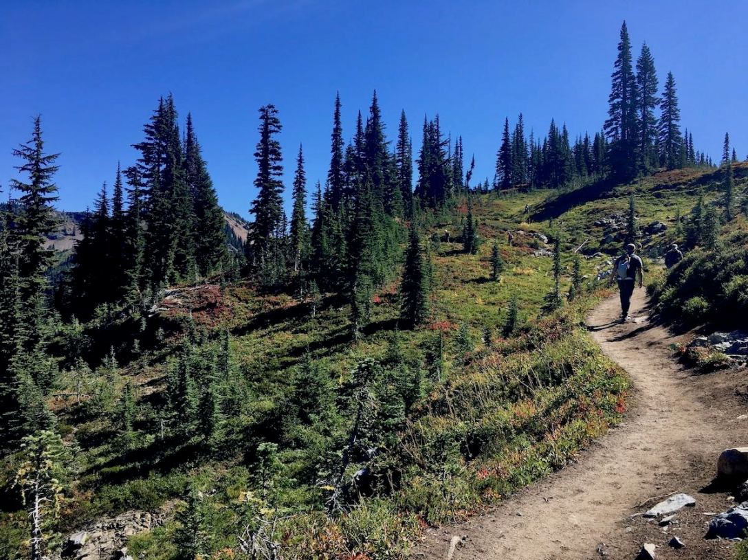 Continuing to climb as we hike through subalpine meadows on the northeastern side of Naches Peak loop