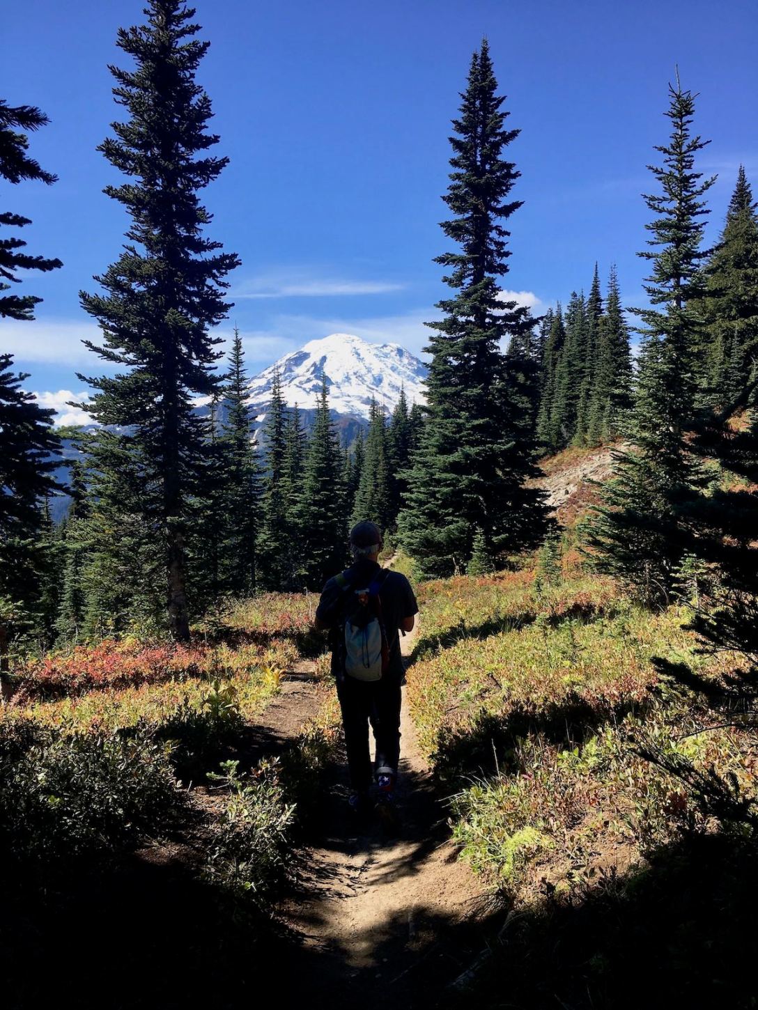 View of Mount Rainier from the Naches Peak loop trail in Mount Rainier National Park