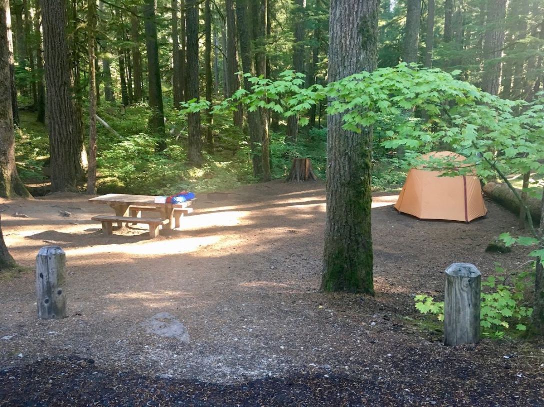 Our campsite in Ohanapecosh Campground in Mount Rainier National Park