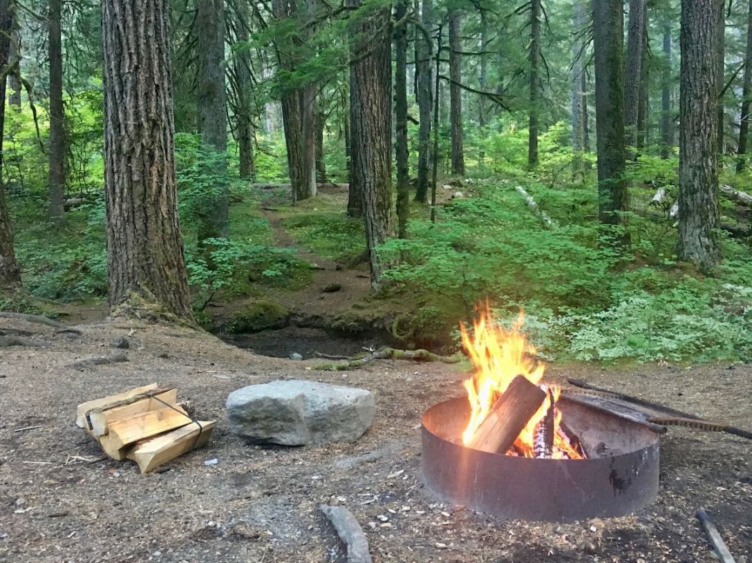 Babbling brook at the back of our campsite in Ohanapecosh Campground in Mount Rainier National Park