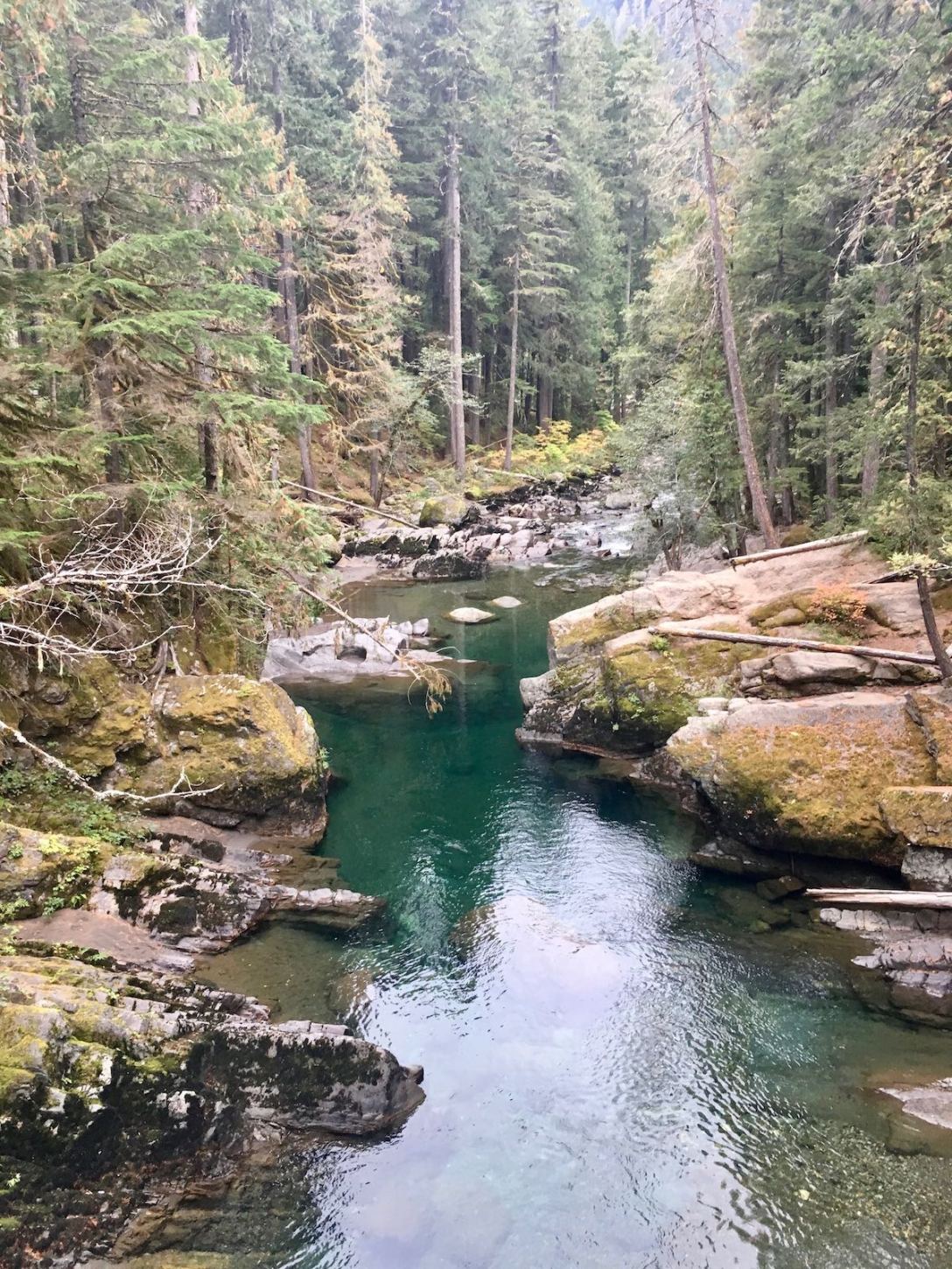 Ohanapecosh River in Mount Rainier National Park