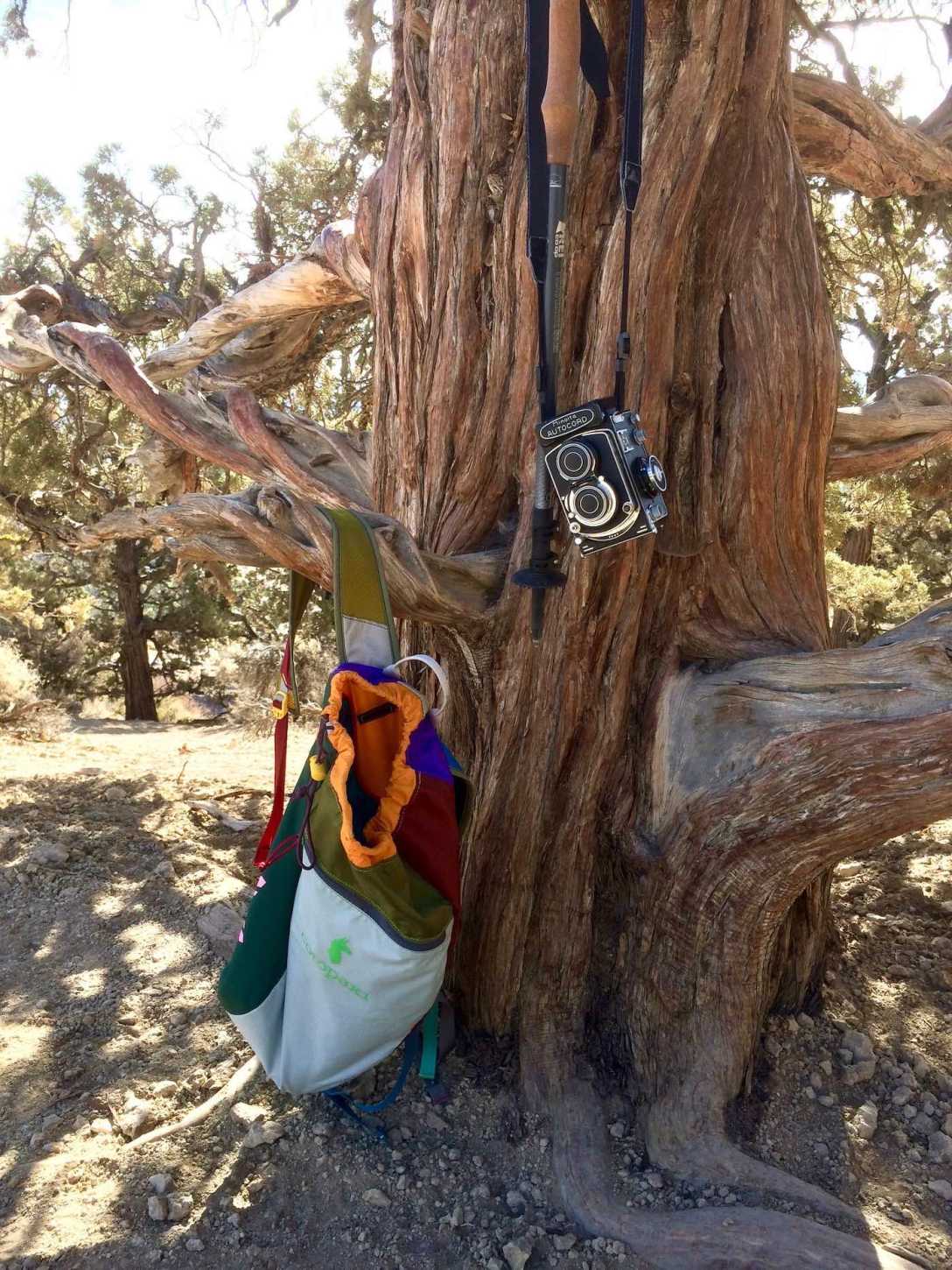 Cotopaxi daypack Minolta Autocord Juniper Tree in Smith Rock State Park