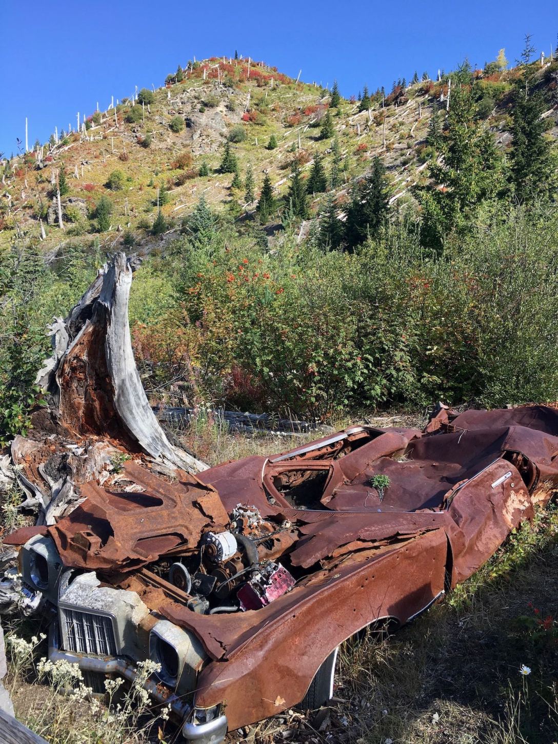 Crushed Car at Mount St. Helens National Monument