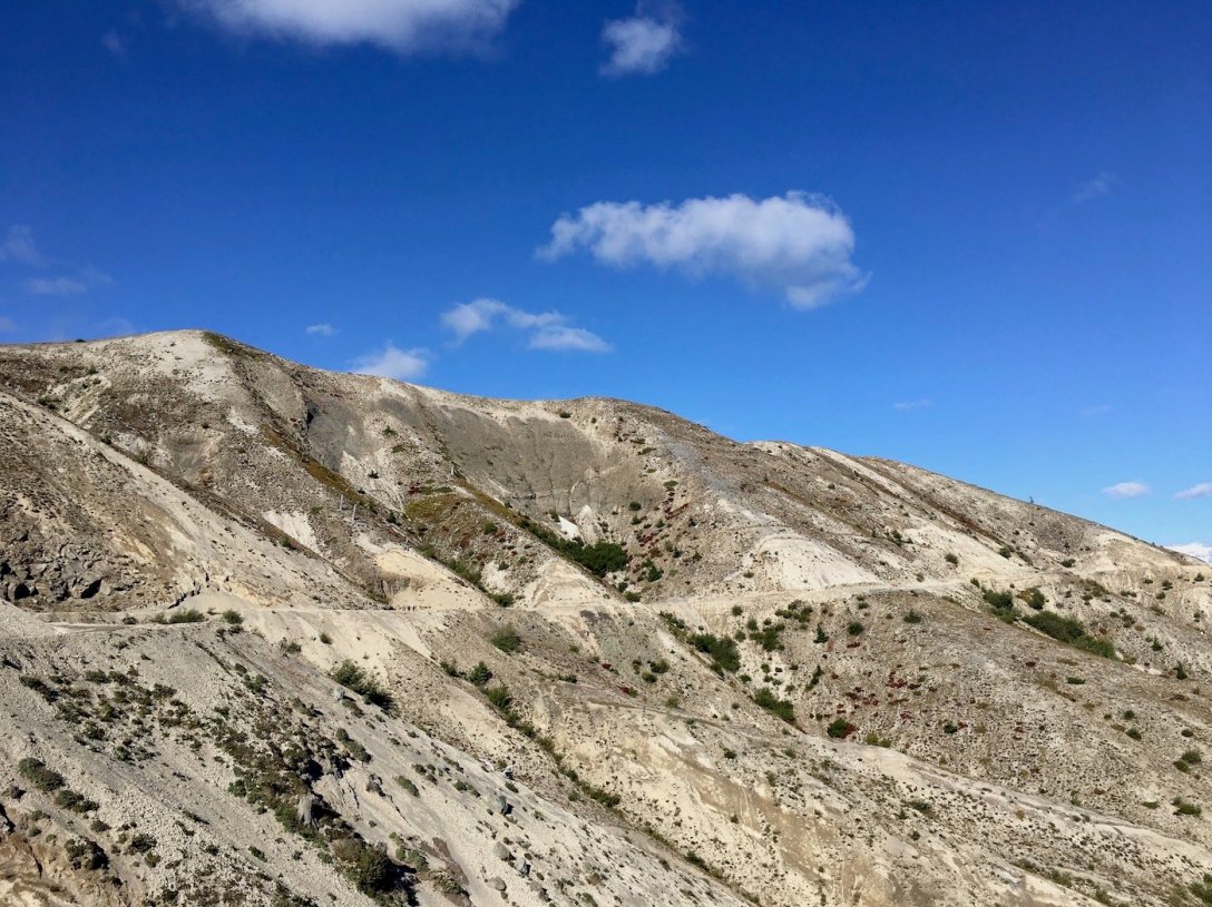 Trail #207 through the east side blast zone at Mount St. Helens National Volcanic Monument