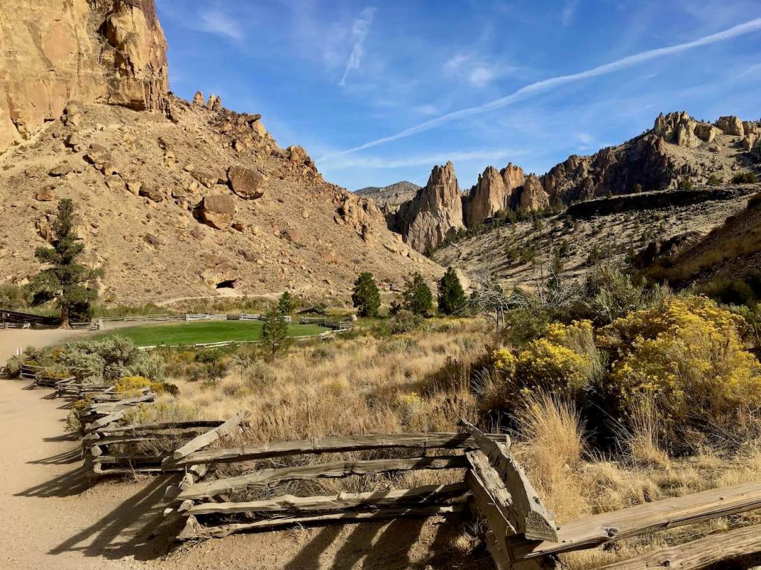 Sage, grasses, and autumn blooming wildflowers in high desert at Smith Rock State Park, Oregon