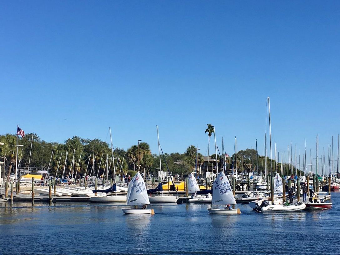 Optimist Pram Sailboats in South Yacht Basin, downtown St. Petersburg Florida