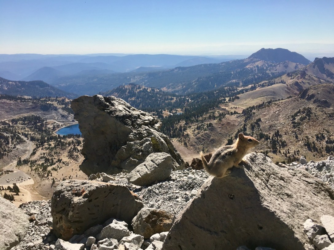 Golden Mantled ground squirrel and views of Lake Helens and Brokeoff Mountain along the Lassen Peak trail in Lassen Volcanic National Park