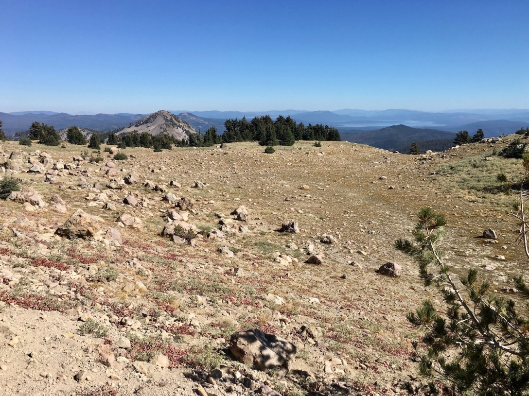 Mountain meadow along the Lassen Peak trail in Lassen Volcanic National Park