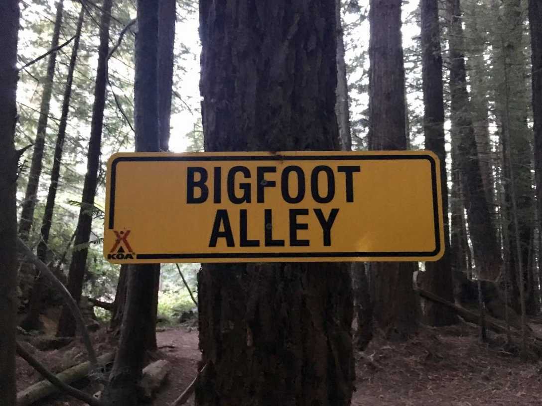 Camping in tall redwood forest at the Crescent City / Redwoods KOA