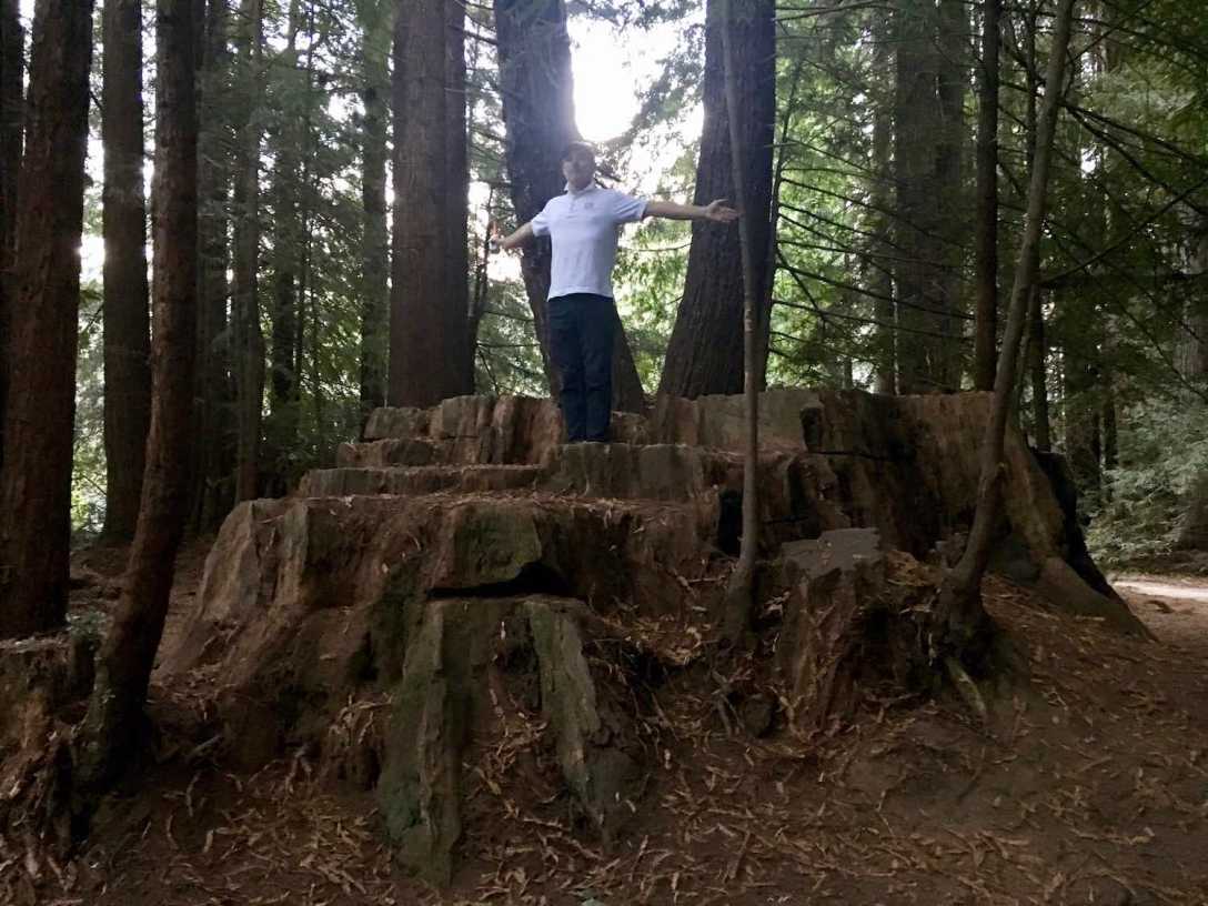 Camping in tall redwood forest at the Crescent City / Redwoods KOA