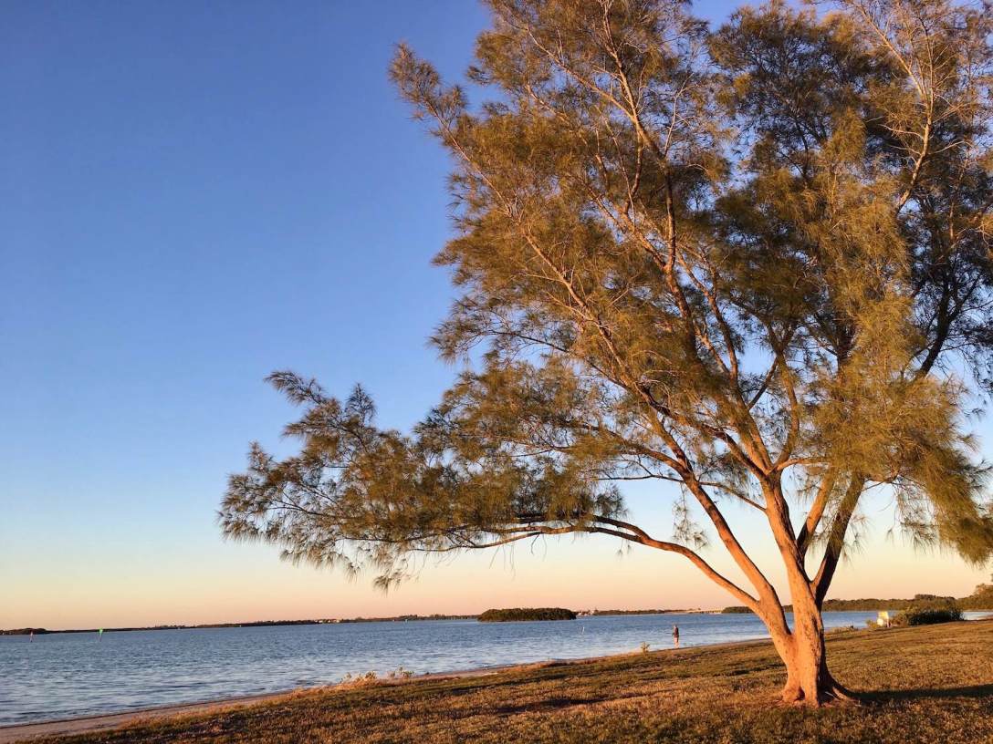 Common area along the bay behind the waterfront campsites in Fort De Soto Park