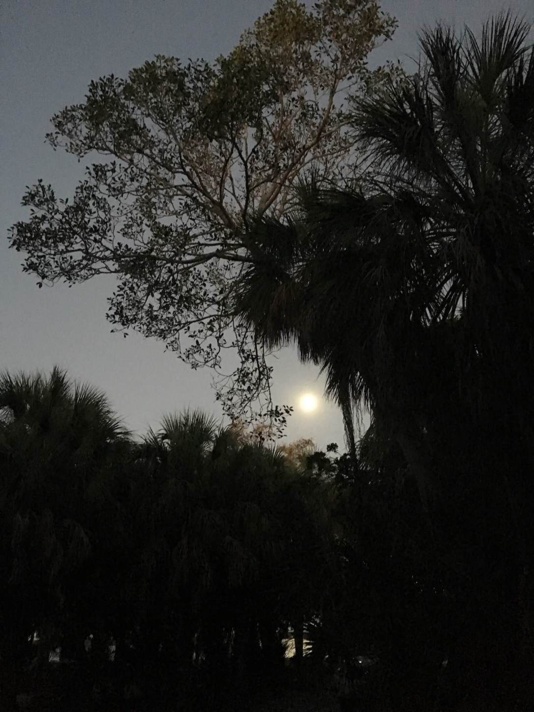 Total Supermoon Blood Moon Eclipse moon rising over Fort De Soto Park