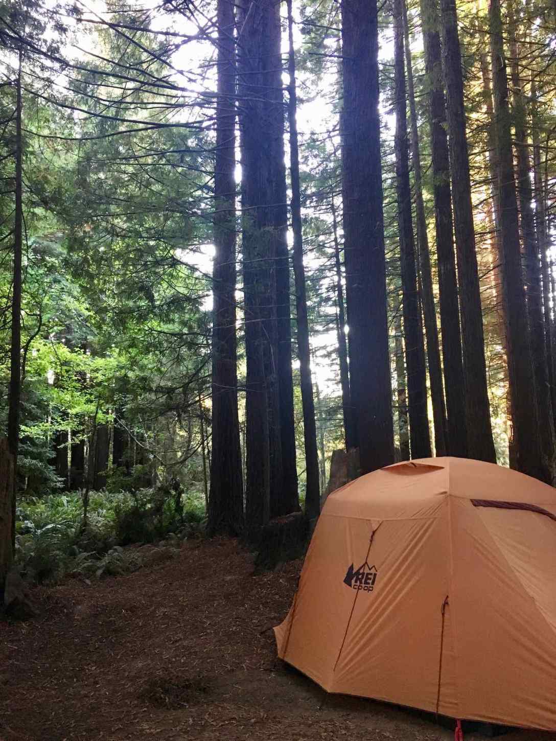 REI Grand Hut 4 in our campsite under the redwoods at Crescent City Redwoods KOA