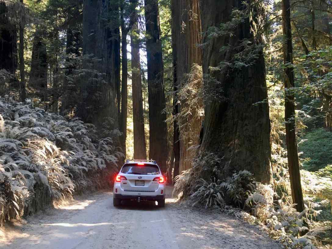 Howland Hill Road through Jedediah Smith Redwoods State Park