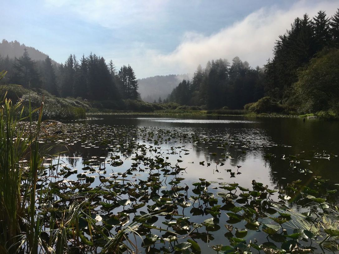 Freshwater Pond along Pacific Coast Highway 101 south of Crescent City, California