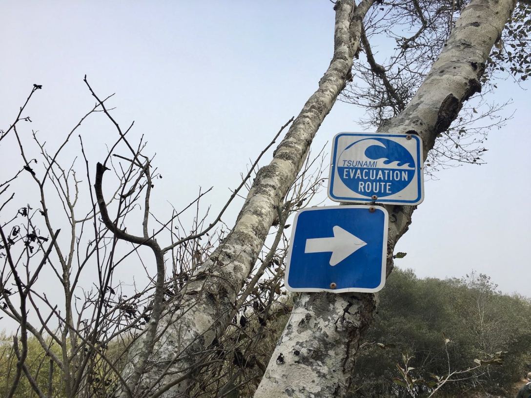 Tsunami evacuation route sign at Klamath Beach