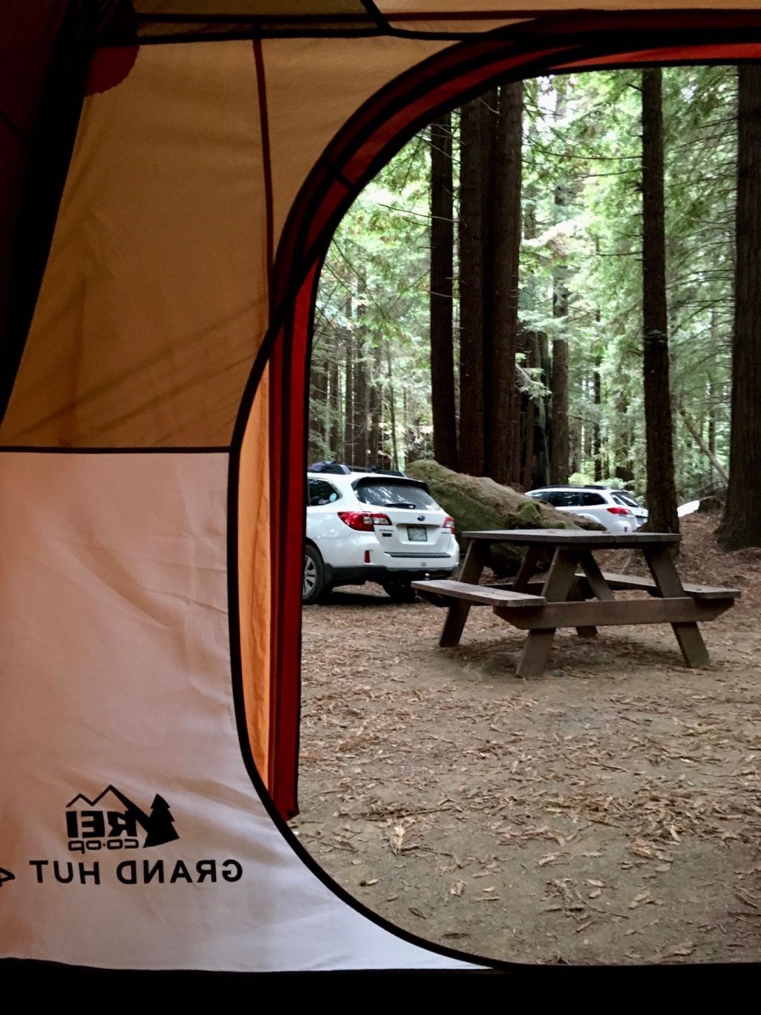 Twin Subaru Outbacks view from the REI Co-op Grand Hut 4 at the Redwoods / Crescent City KOA