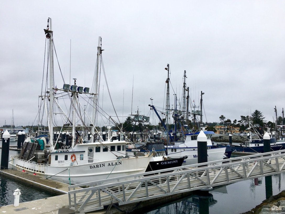 Fishing Boats in Crescent City, California harbor