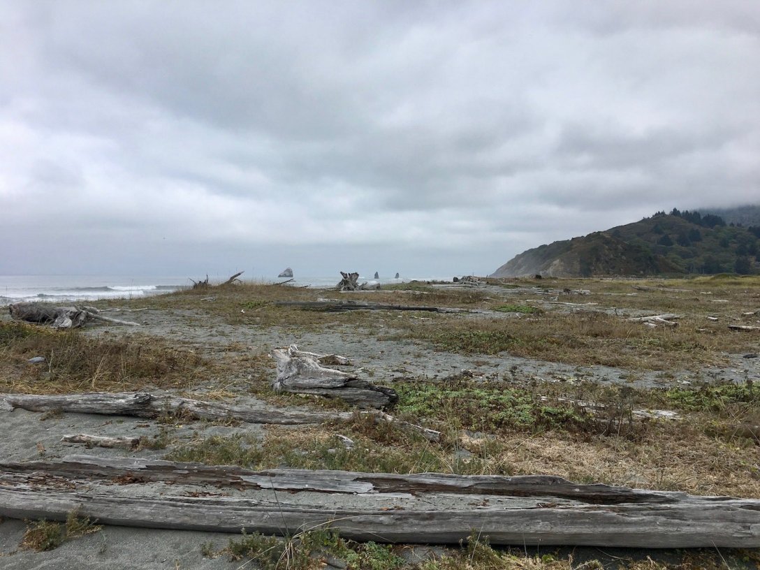 Beach behind Thomas H. Kuchel Redwoods State and National Parks visitor center in Orick, California