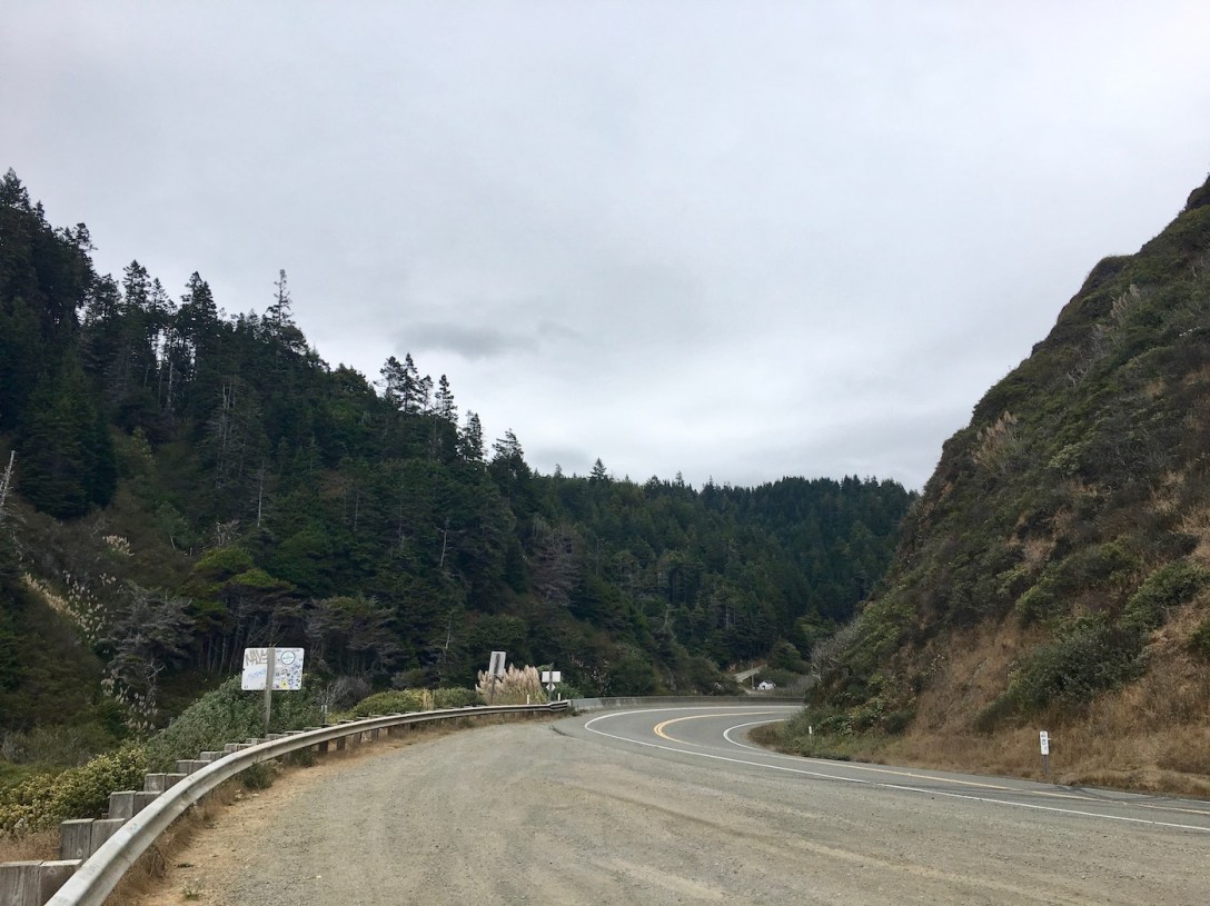 Pacific Coast Hwy 1 north of Ft. Bragg