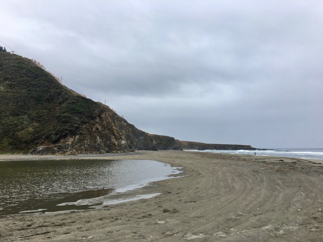 Beach off Pacific Coast Highway 1