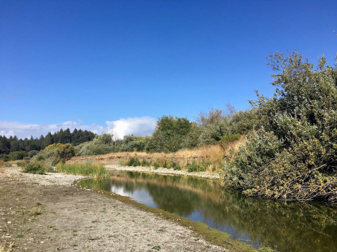 Navarre River running through California's Hendy Woods State Park