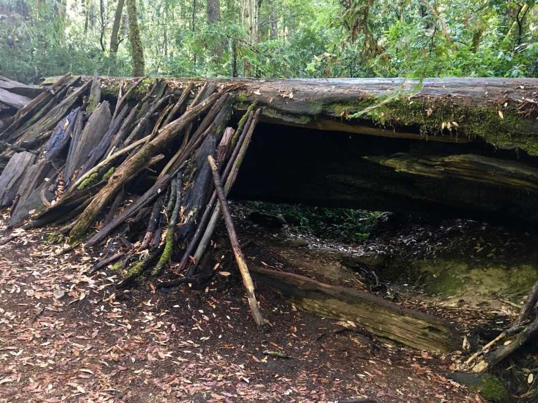 Hermit Hut in California's Hendy Woods State Park