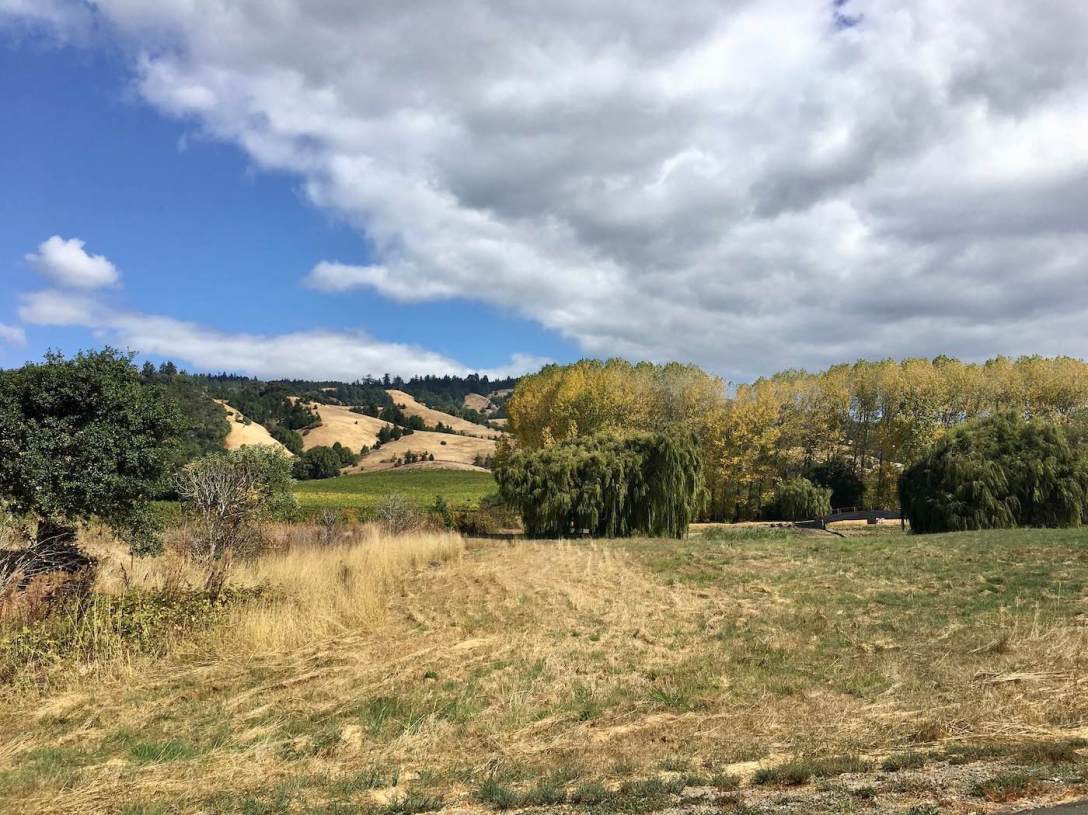 Autumn pastoral scene - Anderson Valley, California Vineyards and Wineries