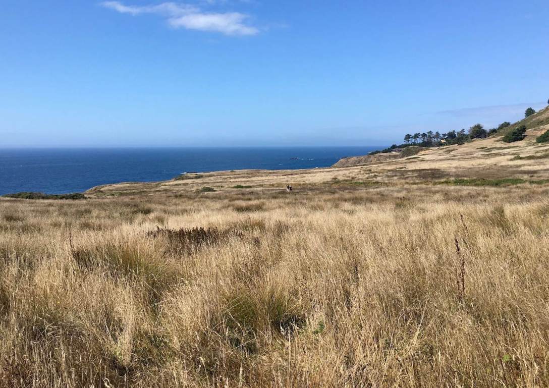 Mendocino Headlands on California's Pacific Coast