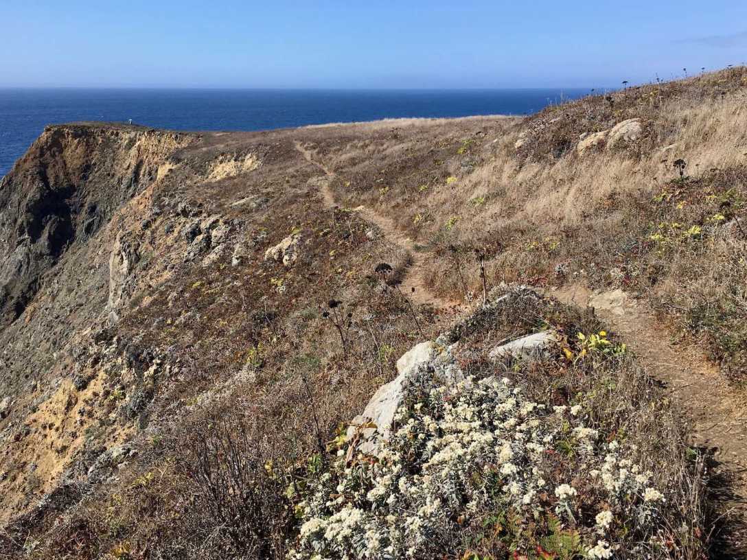 Mendocino Headlands on California's Pacific Coast