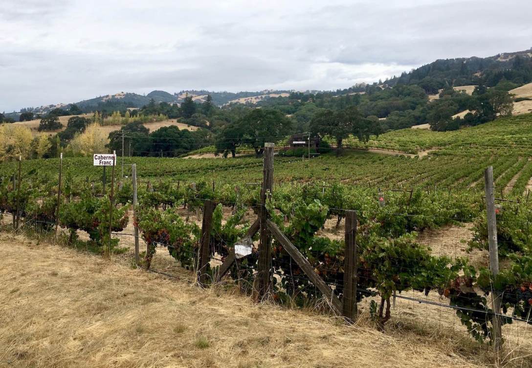 Anderson Valley winery, California