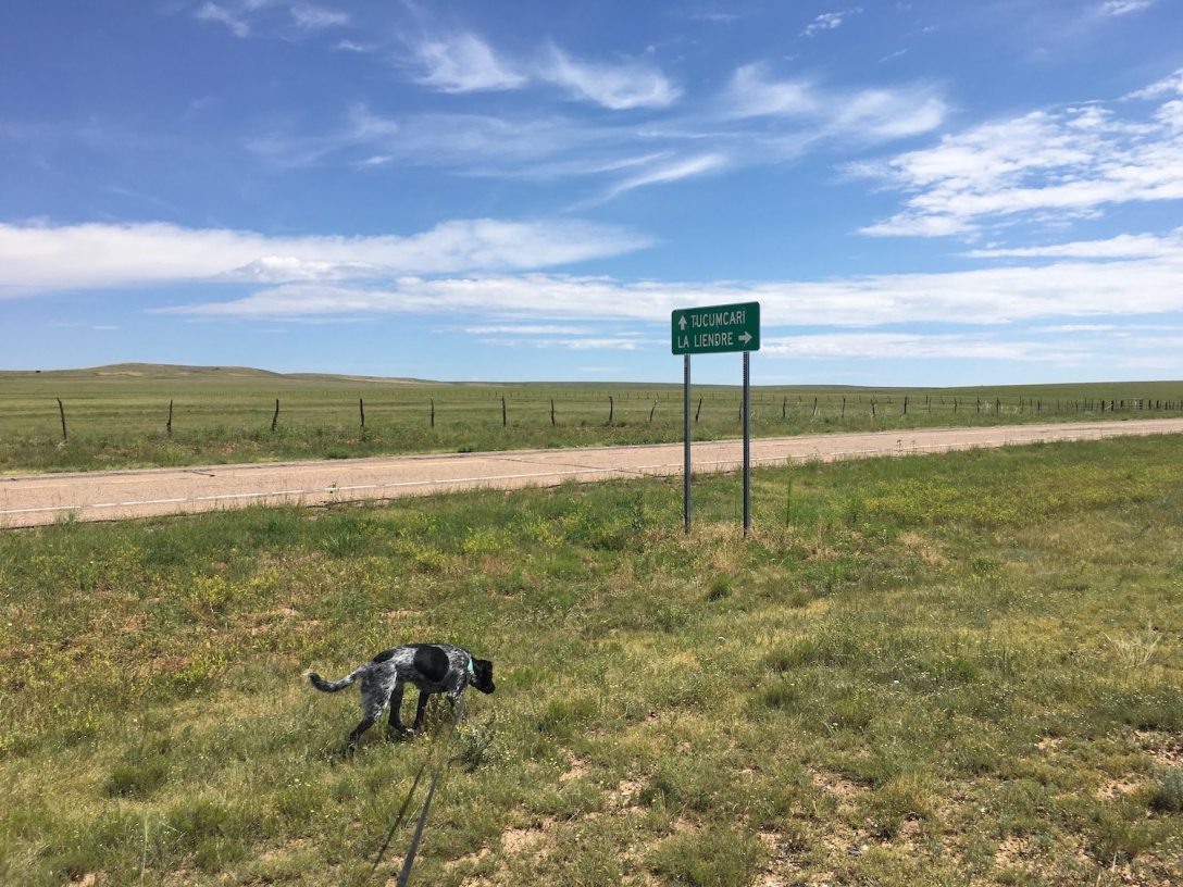 Driving New Mexico Blue Highway NM-104 between Conchas Lake and Las Vegas
