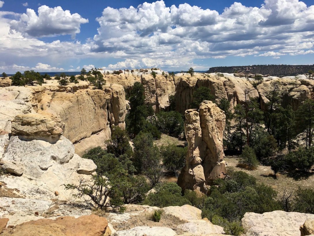 The Headland Trail in El Morro National Monument