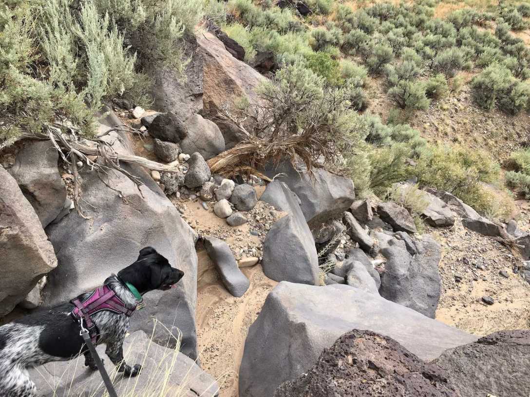 Detour down a creek bed off the Vista Verde trail in Orilla Verde Recreation Area