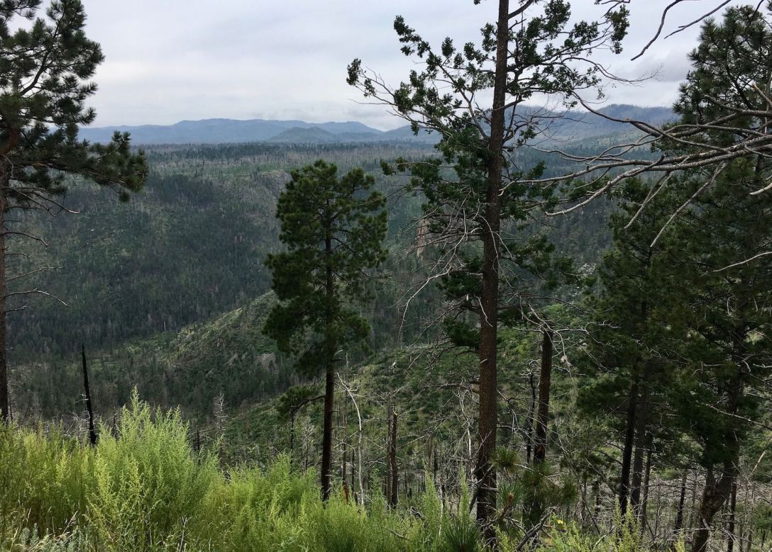 View from Hwy 4 between Bandelier National Monument and Valle Caldera