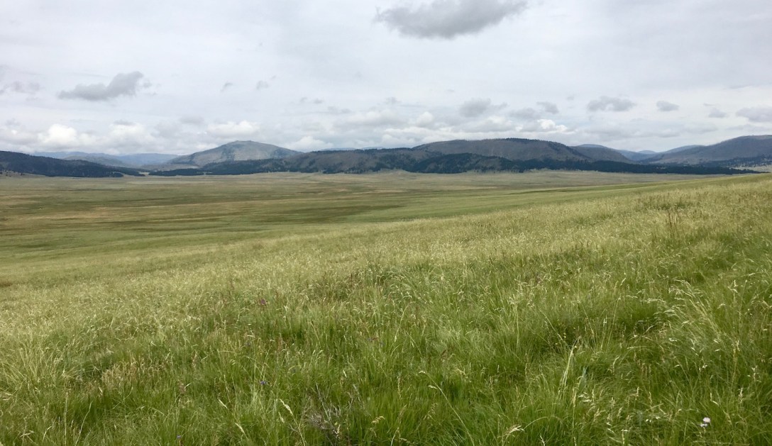Valle Grande in Valle Caldera National Preserve, northern New Mexico