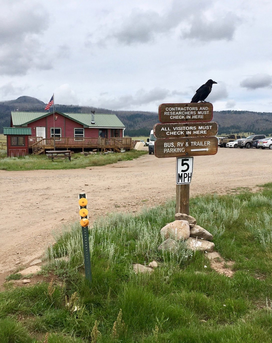 Raven at Valle Caldera National Preserve Visitor Center