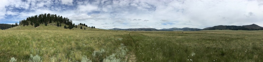 Panorama of Valle Grande in Valle Caldera National Preserve