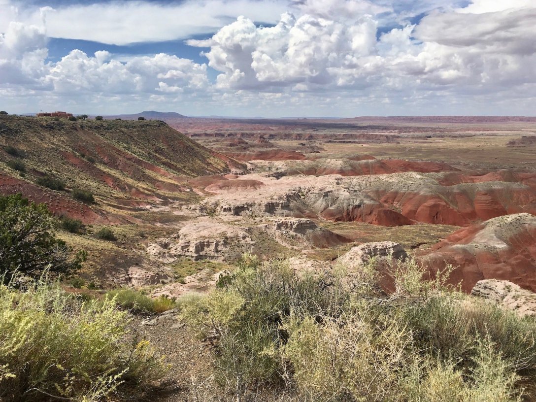 Painted Desert in Petrified Forest National Park
