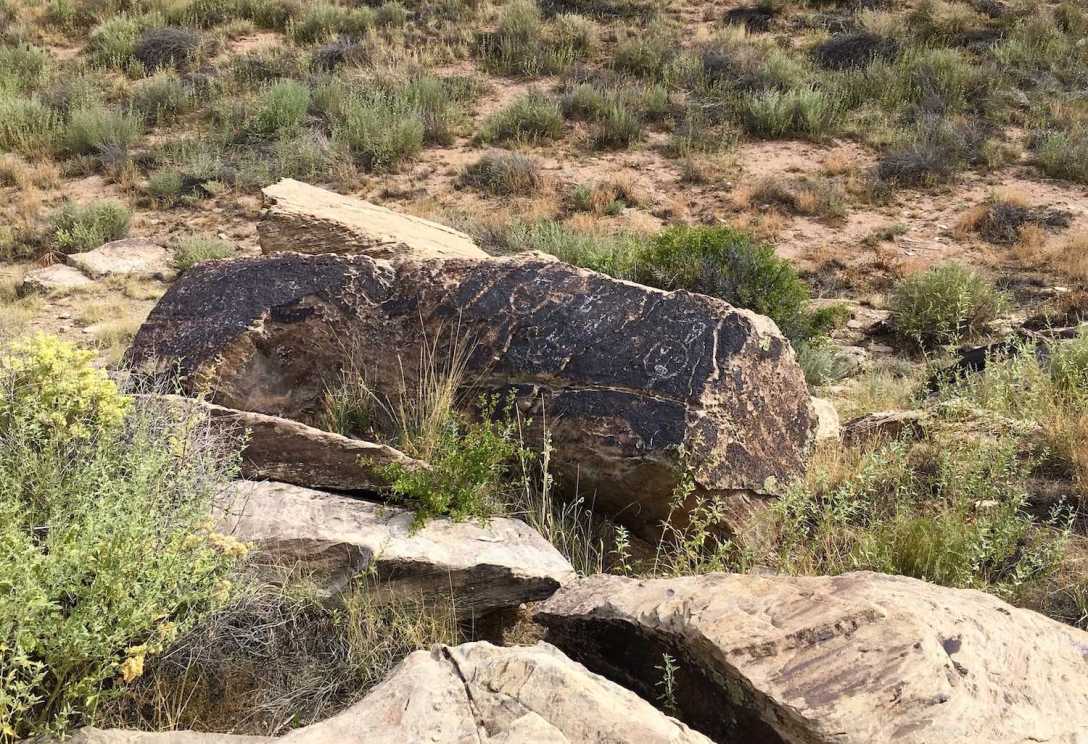Kachina Petroglyph panel at Puerco Pueblo in Petrified Forest National Park