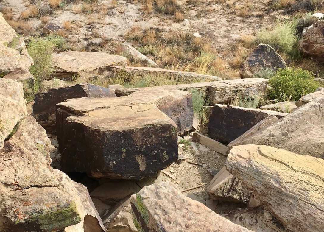 Footprint Petroglyphs at Puerco Pueblo in Petrified Forest National Park