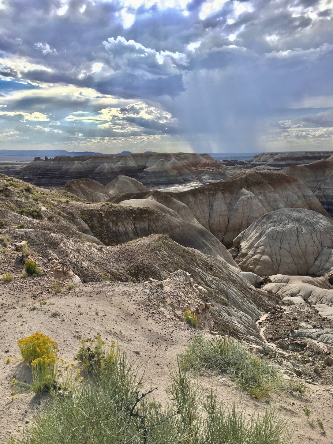 Blue Mesa in Petrified Forest National Park
