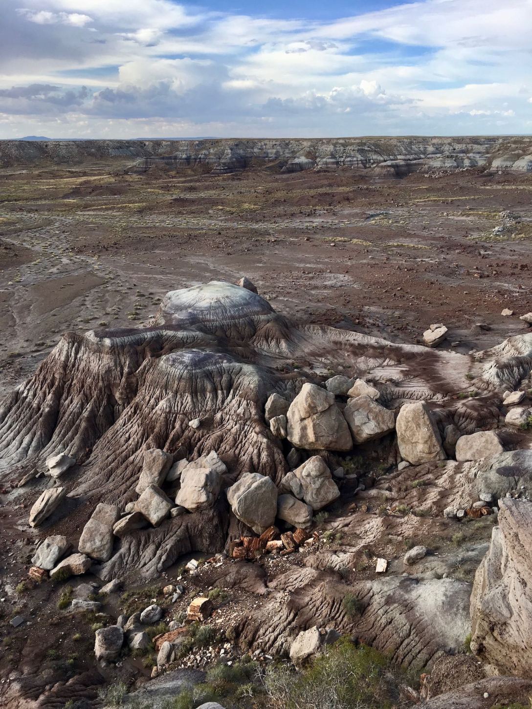 Jasper Forest in Petrified Forest National Park