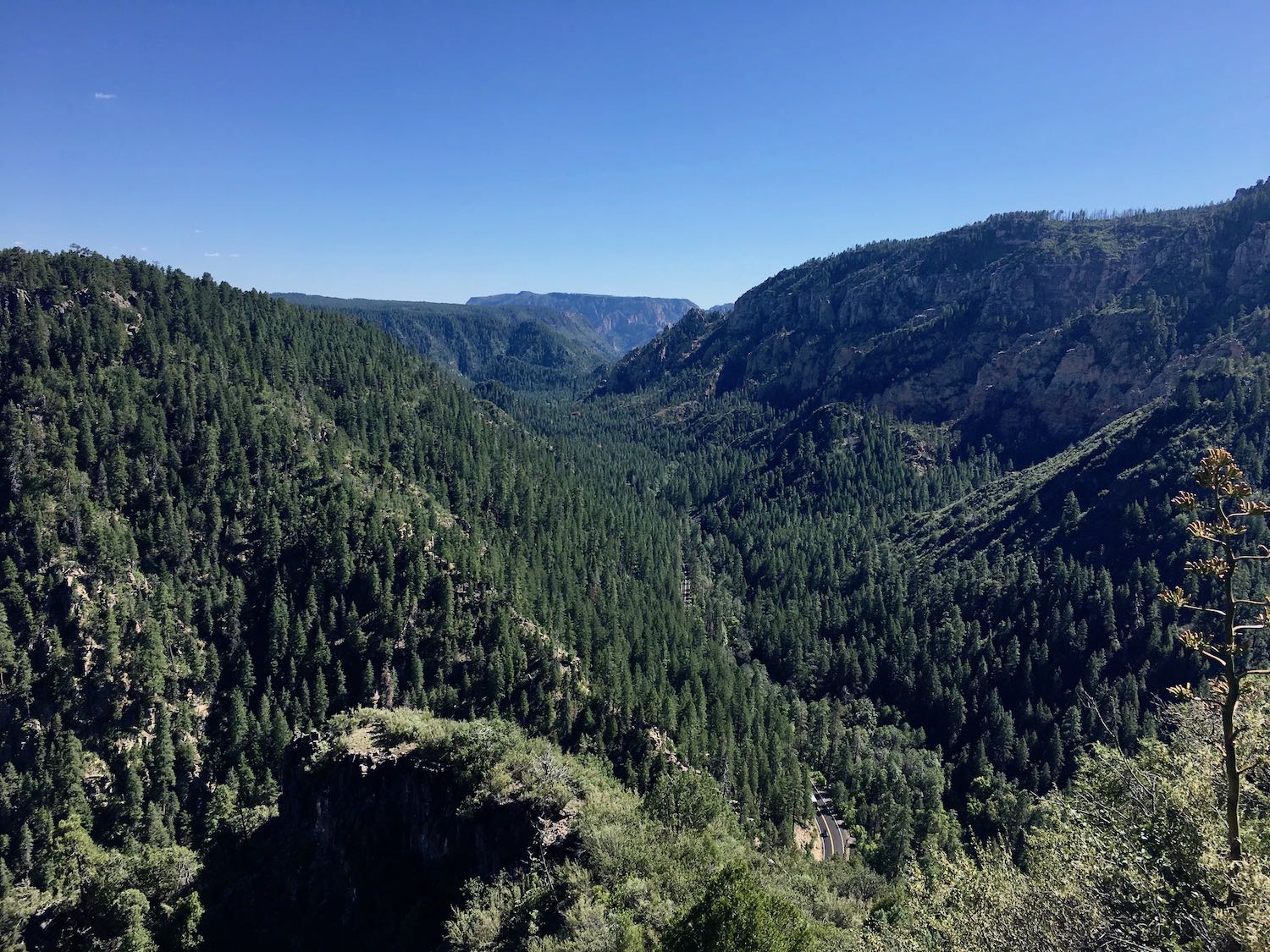 Oak Creek Vista of Coconino National Forest